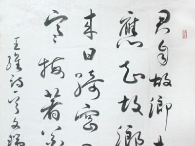 海南書(shū)協(xié)副主席張文瑞最新書(shū)法欣賞