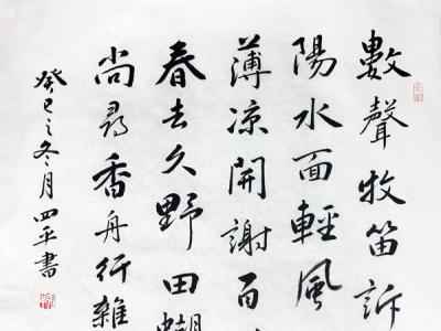 張四平書法作品欣賞