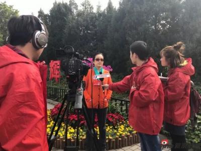 十九大黨代表孫曉云：用一筆一畫書寫中國精神