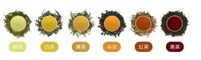 這就是差一個能召喚神龍的六大基本茶類。