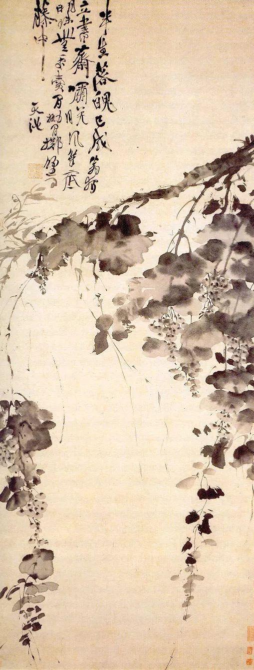 徐渭，《墨葡萄圖》