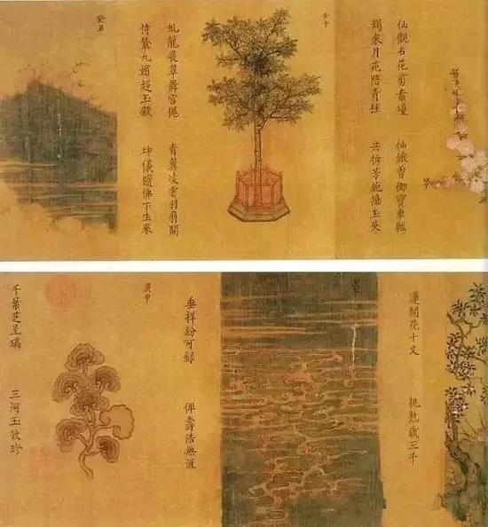 楊婕妤《百花圖》