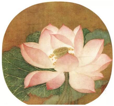 吳炳《出水芙蓉圖》