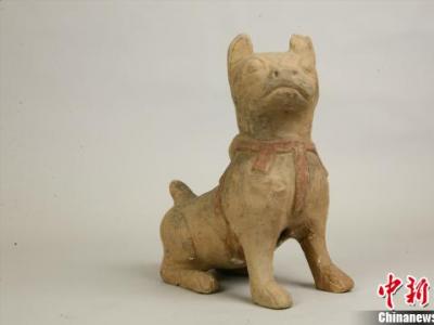 重慶展出狗文物珍品 漢代千年萌寵吸睛