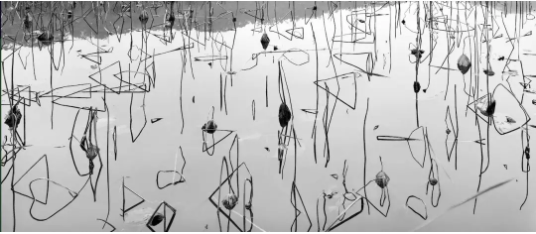 Lois Conner，《浙江，杭州，一九九八年（三角蓮花）》，58.42 x 152.4 cm，1998