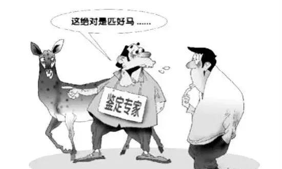 驗證專家“三大標準”