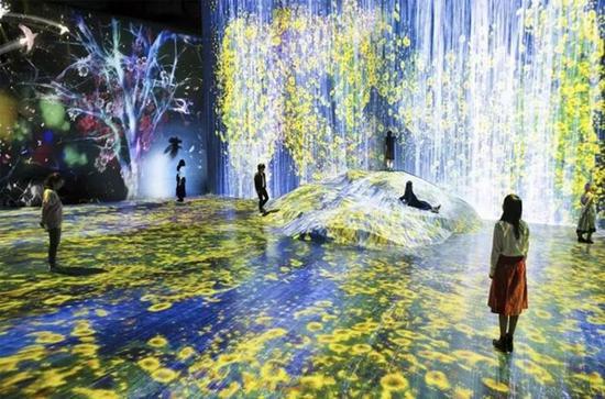 teamLab，《在人們聚集的巖石上，注入水粒子的世界》，2018