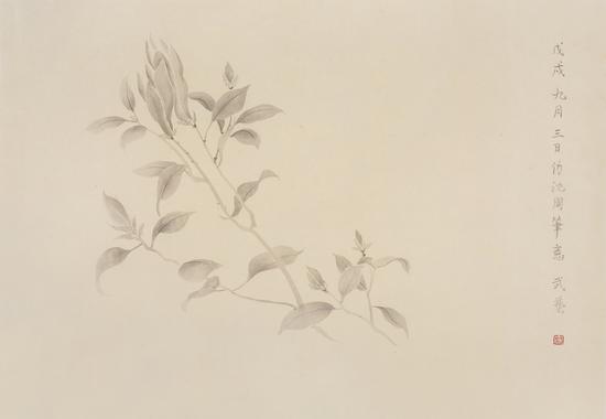 武藝，仿古花卉圖，48.8×70.8cm，紙本水墨，2018