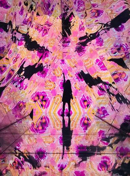 上海“平行世界2.0非人物語”展覽