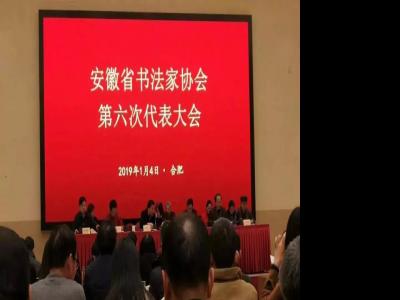 吳雪當選安徽省書法家協會新一屆主席