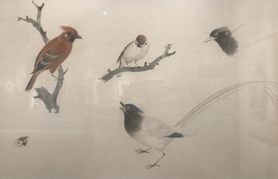 喬木，《花鳥課徒稿》，1961-1962年