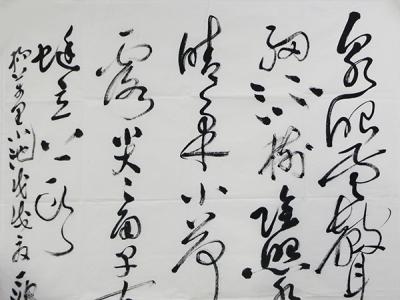 墨色凝練 恣意縱橫——丁波先生參展“成功美術(shù)館2019?名家書畫全國(guó)巡展”重慶展畫作欣賞