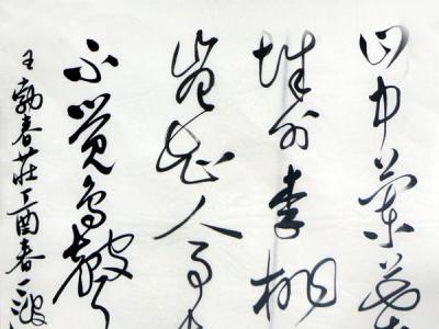筆走龍蛇 韻味豐贍——丁波“成功美術(shù)館2019·名家書(shū)畫(huà)精品全國(guó)巡展”西寧展作品欣賞