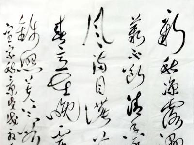 流麗暢達 氣韻貫通——丁波書作參展“成功美術館?2019名家書畫全國巡展”新疆展覽
