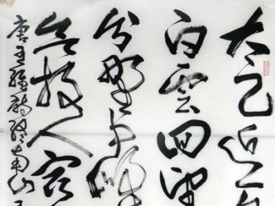 書蘊章草意 筆行龍蛇姿——張澤民先生參展“霜后圃園 爛漫年華?成功美術館全國名家書畫邀請展”