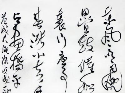 筆墨灑脫 線條靈動——丁波書法入展“霜后圃園 爛漫年華·成功美術館全國名家書畫
