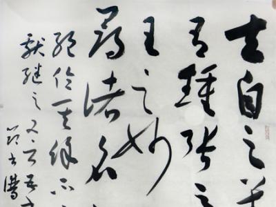筆行豐勁姿 書(shū)承魏晉意 ——濰坊書(shū)協(xié)副主席魏泮瑋先生參展“翰墨丹青耀金秋?全國(guó)名家書(shū)畫(huà)展”作品賞析