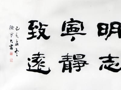 字體俊秀 格調儒雅——徐可大書法參展“絢麗多彩賀新年”全國名家書畫展