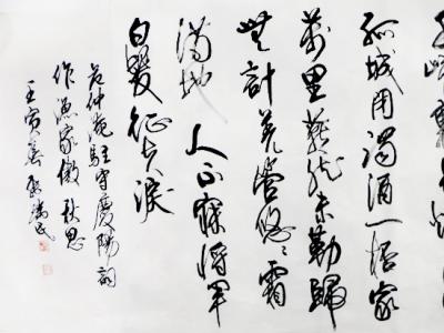 澄懷去抱 愛好鑄墨——略談張瑞民先生書法