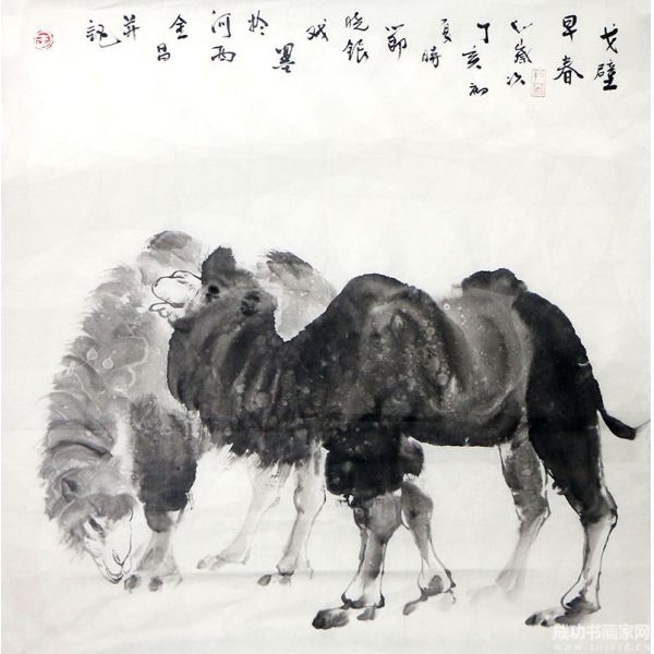 戈壁早春