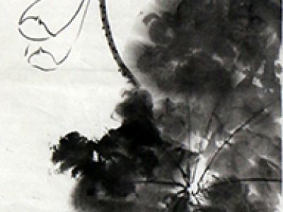 淡雅樸拙 意趣天成——《西部成功書畫家》刊載楊開剛先生國畫作品賞析