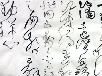 縱逸跌宕 舒張狂放——嚴亞軍先生書法作品在“成功美術館2024迎新春當代書畫名家邀請展”展出