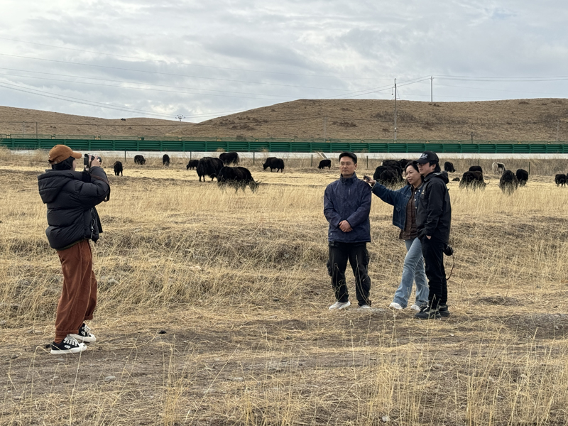 尋美之旅 養心之行——寫在中國國家畫院張江舟師生甘南采風圓滿結束后