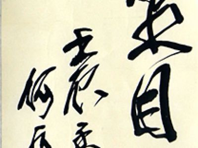 筆如老梅枝 書有縱橫意——當代著名書畫家何水法先生書作（《西部成功書畫家》刊載）賞析
