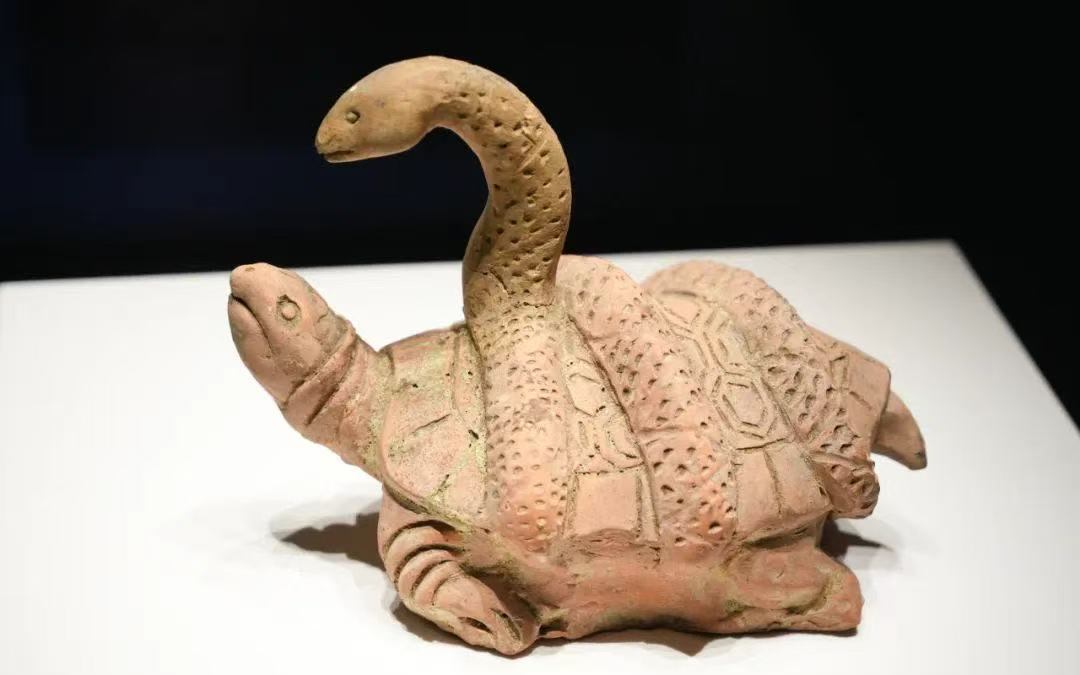在博物館里看“國色芳華”