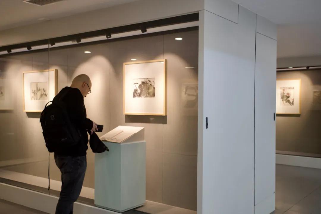 藝壇同仁——吳作人與李苦禪作品展在蘇州開幕